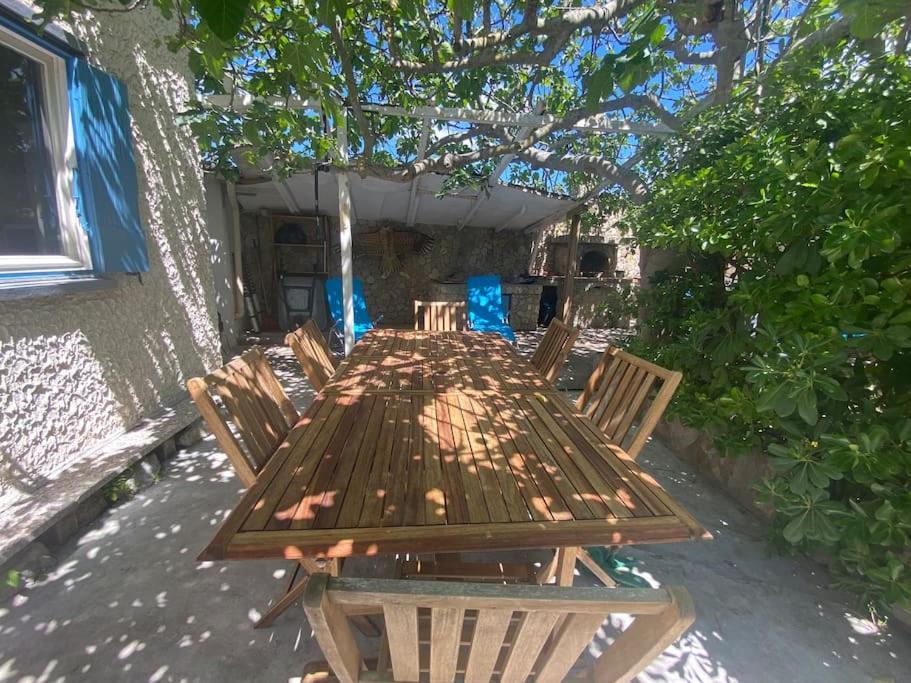 A L'Ombre Du Figuier ! Maisonnette Jardin / Parking / Proche Mer Frontignan Ngoại thất bức ảnh